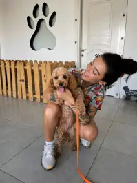 Fethiye Pet kuaför Ceylan Yerli
